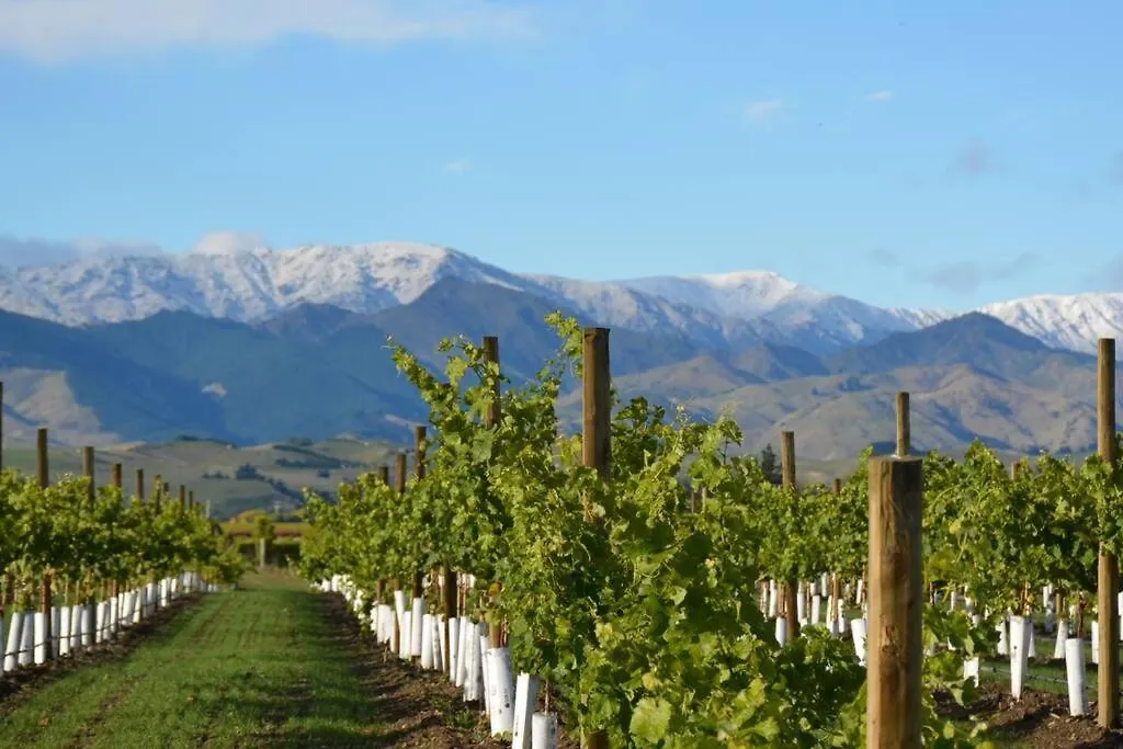 Ddog Vineyard & Bnb Renwick