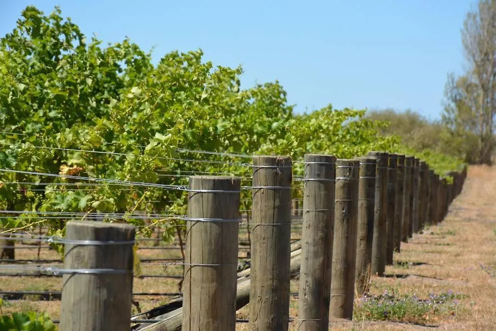 Guest house Ddog Vineyard & Bnb Renwick